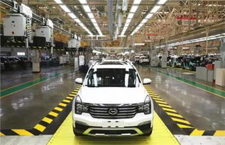 佛山時利和 專業汽車銷售與全方位服務的行業翹楚